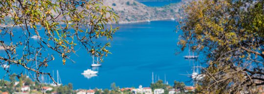 Villa Blue Shore Homes